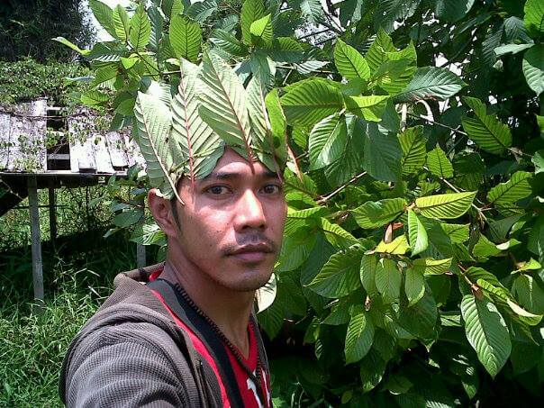 guy wearing kratom leaves as hat