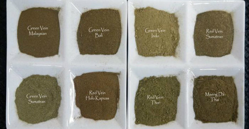 Kratom Strains